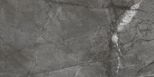 BIEN Root Silver 120x60 серый полированная