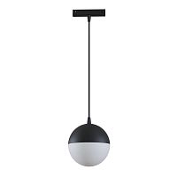Трековый подвесной светильник Maytoni Technical TR018-2-10W3K-B фото