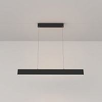 Подвесной светильник Maytoni Technical P010PL-L23B фото
