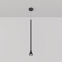 Подвесной светильник Maytoni Technical P064PL-01B фото