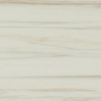 Керамогранит 610010002192 Empire Lasa 60x60 фото