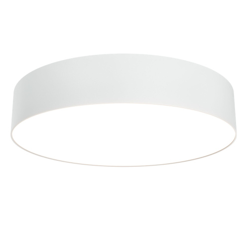 Потолочный светильник Maytoni Technical C032CL-L43W3K фото 3