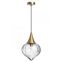 Подвесной светильник Odeon Light 4950/1 фото