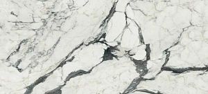 Rex Les Bijoux de Rex Керамогранит Calacatta Altissimo Blanc 60x120 полированный фото