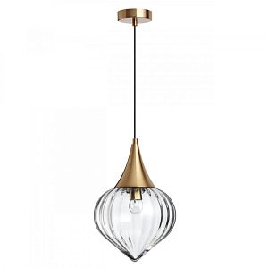 Подвесной светильник Odeon Light 4950/1 фото