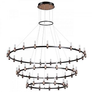 Каскадная люстра Odeon Light 5009/204L фото