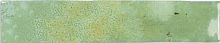 Плитка DNA Tiles Enamel 123146 Moss 5x25 фото
