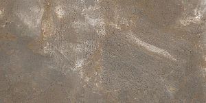 Керамогранит Lafaenza Ceramica TREX 12TO RM Dove Gray 60x120 фото