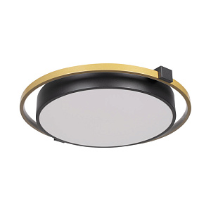 Накладной светильник LOFT IT 10170 фото