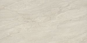 BIEN Daino Lienzo Bone 120x60 серый полированная фото