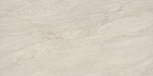 BIEN Daino Lienzo Bone 120x60 серый полированная