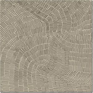 Керамогранит Refin Fossil Beige Rett 60x60 фото