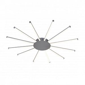 Накладная люстра Favourite 2379-12U фото