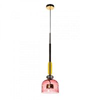 Подвесной светильник LOFT IT 2008-D фото
