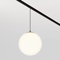Светильник на шине Maytoni Technical TR039-2-5W3K фото
