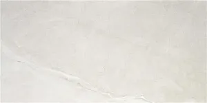 Керамогранит STN Ceramica Austral CAN5AUSAPDAA Pearl MT 60x120 фото