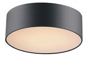 Накладной светильник Favourite 1514-2C фото