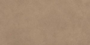 Керамогранит Atlas Concorde Boost Natural A65W Coral 60х120 фото