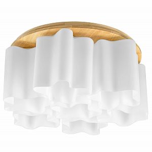 Накладная люстра Lightstar 802075 фото