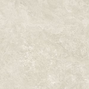 Керамогранит Baldocer Canyon Bone Rect 120x120 фото