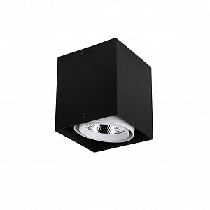 Накладной светильник Favourite 1987-1U фото