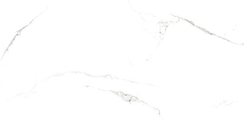 QUA Granite Bianco River 120x60 белый полированная фото 6