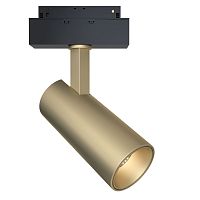 Светильник на шине Maytoni Technical TR019-2-15W3K-MG фото