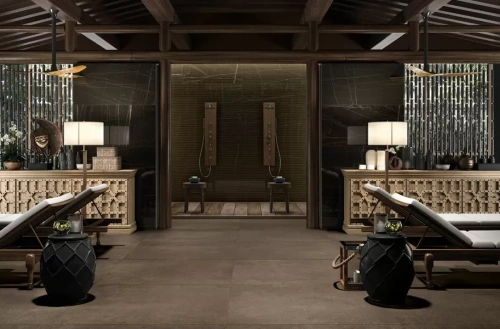 Глазурованный керамогранит Lafaenza Ceramica Trex3 Trex6278nlp 120x278 фото 2