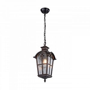 Подвесной уличный светильник Favourite 2036-1P фото