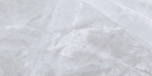 QUA Granite Space Grey 120x60 серый полированная фото 5