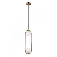 Подвесной светильник LOFT IT LOFT2601-A фото