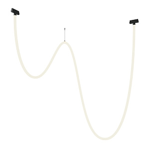 Светильник на шине Maytoni Technical TR101-2-100W4K-B фото