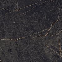 Керамогранит Ariana PF60004307 Epoque Black Ret 60x60 фото