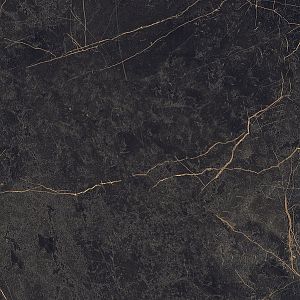 Керамогранит Ariana PF60004307 Epoque Black Ret 60x60 фото