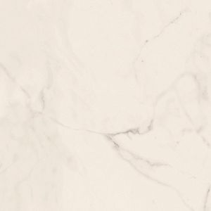 Керамогранит Lafaenza Ceramica Trex 60W RM White 60x60 фото