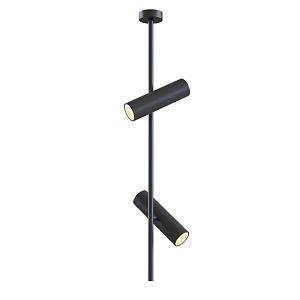 Потолочный светильник Maytoni Technical C021CL-02B фото