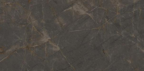 Керамогранит Ariostea Marmi Classici PL612515 Pulpis Grey Luc Ret 120x60