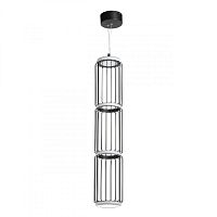 Подвесной светильник DeMarkt 655010901 фото