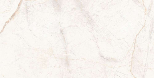 Керамогранит Usak Seramik Manavgat Bone Polished Technical Porcelain 60x120