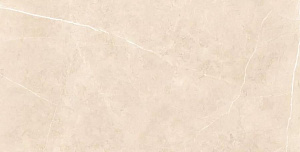 Керамогранит Usak Seramik Swindon Beige Polished Technical Porcelain 60x120 фото
