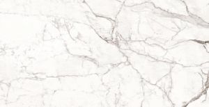 Керамогранит Ocean-Ceramic Superb Satuario Grande 60x120 фото