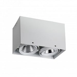 Накладной светильник Favourite 1986-2U фото