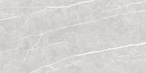 Керамогранит TAU Ceramica Elite Silver Pul 60x120