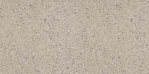 Керамогранит Imola Ceramica Parade PRDE 12AG RM 60x120 фото