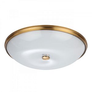 Накладной светильник Odeon Light 4956/6 фото