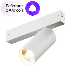 Светильник на шине Denkirs DK8020-WH фото