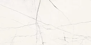 Керамогранит Imola The Room StaVp612Rm 60х120 фото