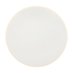 Настенный светильник (бра) Freya FR6002WL-L20W фото