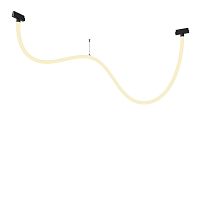 Светильник на шине Maytoni Technical TR101-2-50W3K-B фото