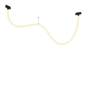 Светильник на шине Maytoni Technical TR101-2-50W3K-B фото